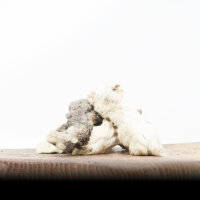 Kaninchenpfoten mit Fell - 1000g