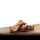 Schweinerippe Pork Drum Sticks