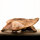 Iberico Schweineohren