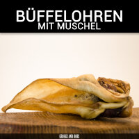 Büffelohren mit Muschel - 150Stk.