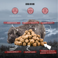 Trockenfutter - Lamm & Rind