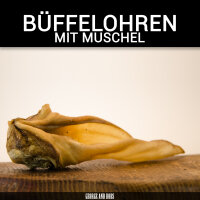 Büffelohren mit Muschel - 50Stk.