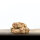 Kaninchen Brocken